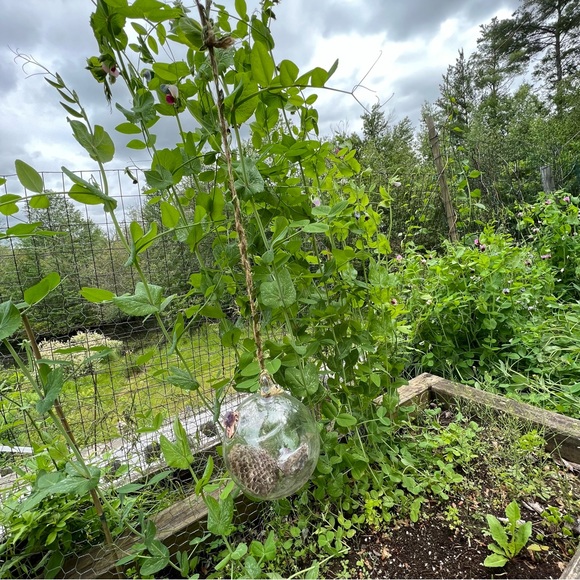 Amethyst wasps next mixed media hanging art - Picture 5 of 7